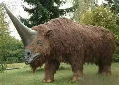 Simulering af næsehorn